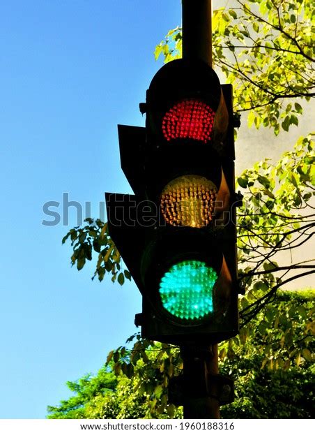 Three Colors Vertical Traffic Light Stock Photo 1960188316 Shutterstock