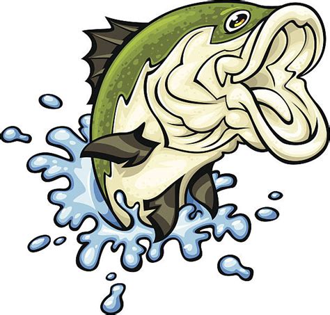 Cartoon Of A Bass Fish Illustrations Royalty Free Vector Graphics