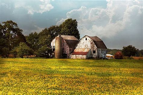 Mike Savad Farm Ohio Broken Dreams