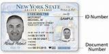 Renew Michigan Drivers License Out Of State Pictures