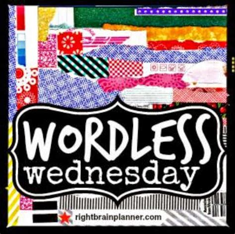 Creative Explorer Wordless Wednesday