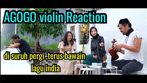 🇮🇩agogo Violin Lagu India Reaction Agogo Violin Terbaru 2022 Youtube