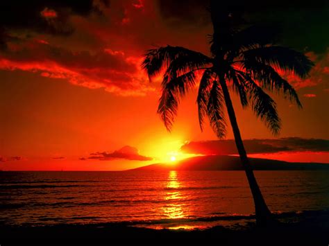 Celebrity Wallpapers Island Sunset Wallpapers