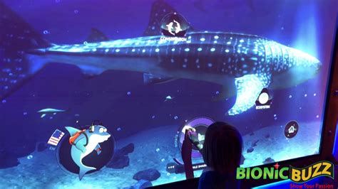 New Exhibits At Sea Life Aquarium At Legoland Ca Youtube