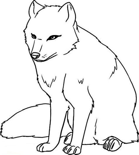 Arctic Animals Cautious Arctic Wolf Coloring Page Kids