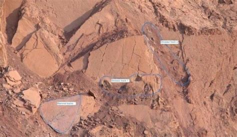 Nearly 70 Individual Fossil Footprints Were Recently Uncovered In A