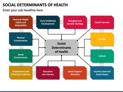 Social Determinants Of Health Powerpoint Template Ppt Slides