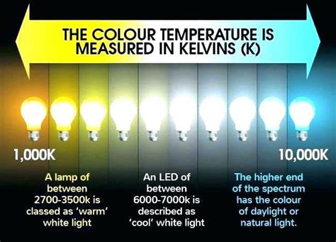 Image Result For What Are The Different Light Bulb Colors Different