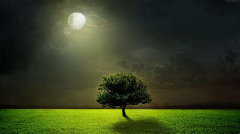 Hd Wallpaper Moonlit Dark Night Sky Darkness Lone Tree Lonely