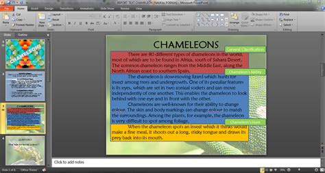 Contoh report text tentang hewan. CONTOH PRESENTASI REPORT TEXT "CHAMELEON"