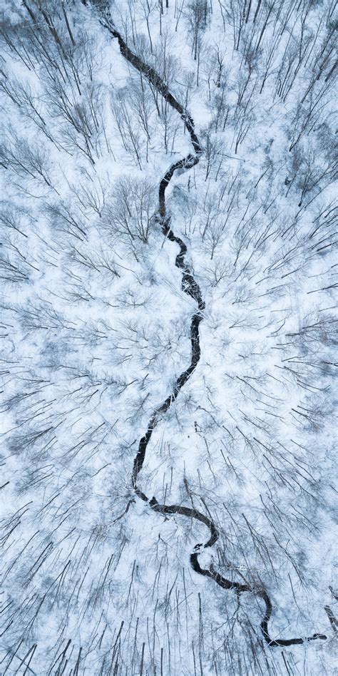 Download 1080x2160 Wallpaper Aerial View White Forest Stream Winter