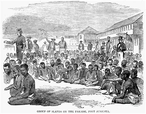 Slavery Slave Ships 1857 Photograph By Granger