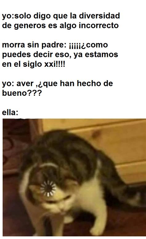 Top Memes De Gato En Español Memedroid