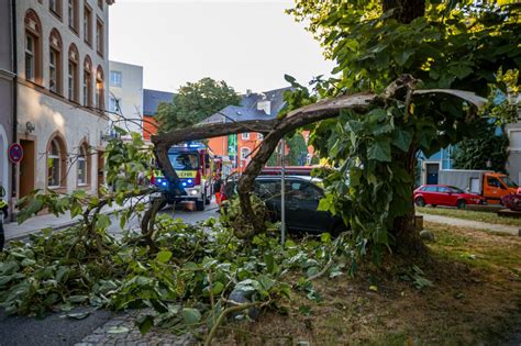 Großer Ast Bricht Aus Baum Und Versperrt Mautnerstraße Freiwillige