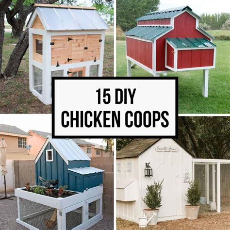 15 diy chicken coop ideas for your backyard flock the handyman s daughter