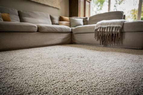 Collections Best Wool Carpets Netherlands