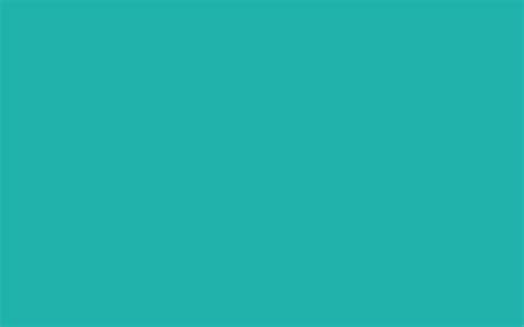 2880x1800 Light Sea Green Solid Color Background
