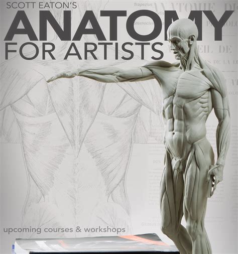 Artistic Anatomy | ubicaciondepersonas.cdmx.gob.mx