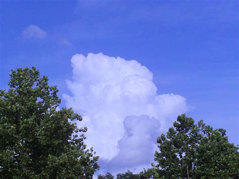 Free Photo Cumulus Cloud Over Orlando Blue Cloud Clouds Free