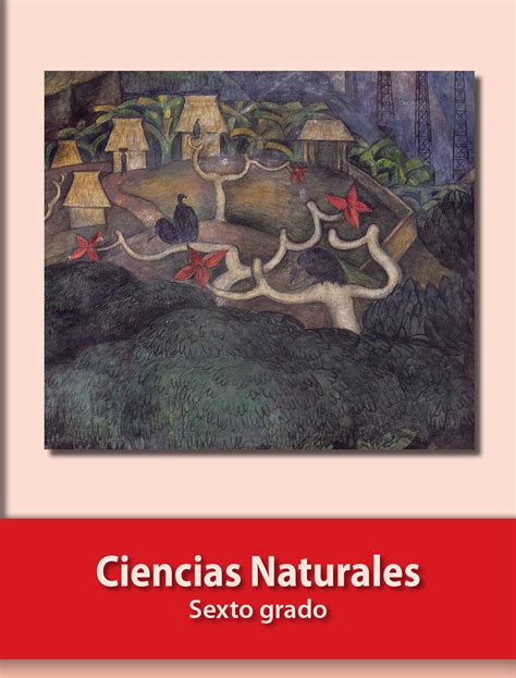Libro Ciencias Naturales Sexto Grado 2024 📚 Descargar Pdf