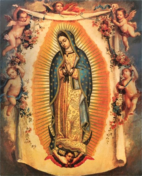 El Camino Novena A La Virgen De Guadalupe