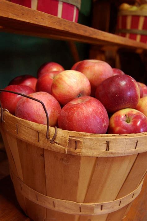 Basket Of Apples Stock Image Image Of Harvest Wooden 6822365
