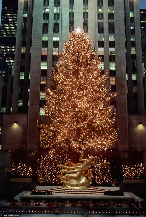 Jun 04, 2021 · the modern christmas tree, though, originated in western germany. History of the Rockefeller Center Christmas tree | Daily ...