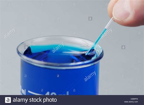 Blue Colored Water Moves Up A Capillary Tube Demonstrating Capillary Stock Photo Alamy