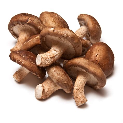 Shiitake Mushrooms | South Mill Mushroom Sales | Fresh Mushrooms ...