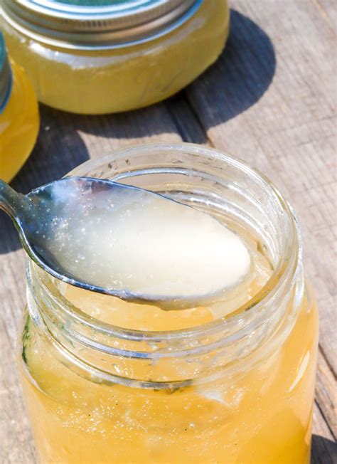 Check spelling or type a new query. Dandelion Jelly | Daily Dish Recipes
