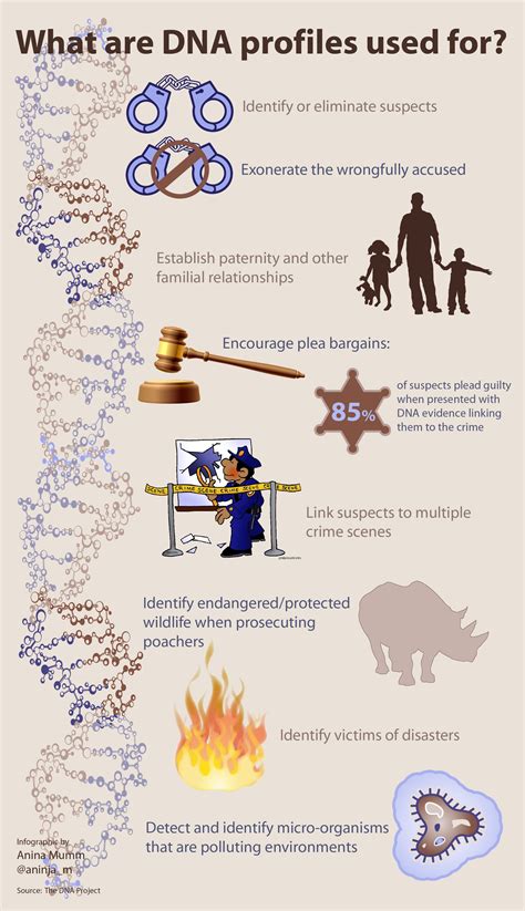 Dna replication worksheet answer key quizlet / dna molecule and replication worksheet answers. Infographic: What DNA profiles are used for (info courtesy of the DNA Project's website) | Dna ...