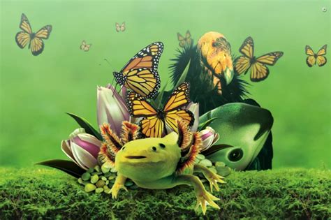 México alberga el de la biodiversidad mundial Diario Basta