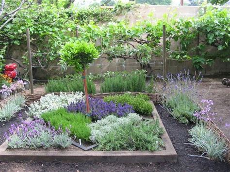 Herbal Garden Design Ideas
