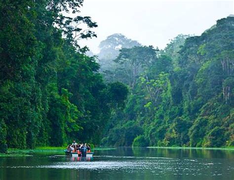 The park has been referred to as the most biologically intense place on earth by. Escape to Costa Rica: Corcovado - Best National Park in ...