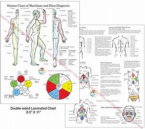 Shiatsu Chart Of Meridians And Hara Diagnosis 8 5 Quot X 11 Quot Body Of Elements