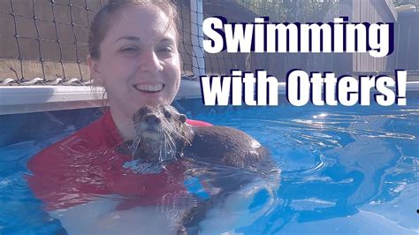 Swimming With Otters At Barn Hill Preserve In Louisiana Youtube