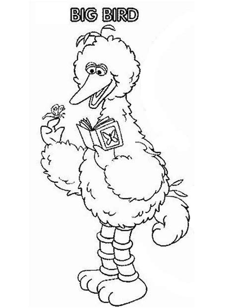 Sesame Street Character Big Bird Coloring Page Color Luna Bird