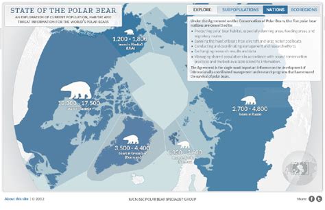 Polar Bear Population Now 22600 32000 When Tallied By Nation