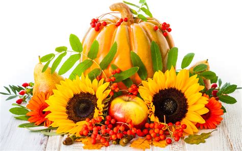 Harvest Pumpkin And Sunflowers Wallpaper For Widescreen