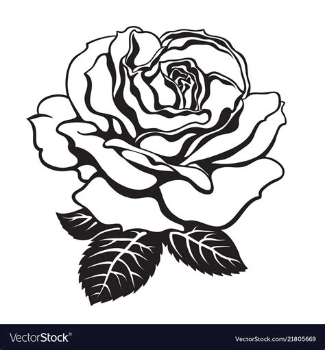 Rose Flower Images Black And White