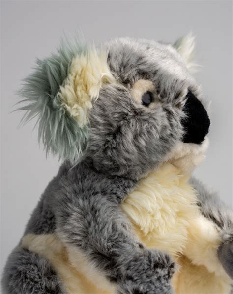 Adorable Koala Soft Toy Koala Bear T Idea Send A Cuddly