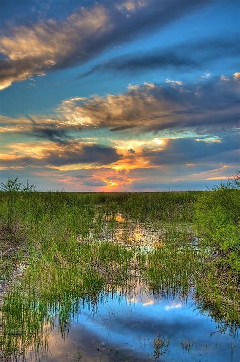 Sunset Over The River Of Grass By William Wetmore River Of Grass