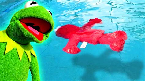 Kermit The Frog Teaches Elmo How To Swim Youtube