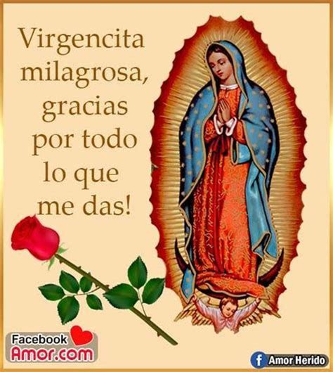 Frases Por El Día De La Virgen De Guadalupe Mensajes E Imágenes Para