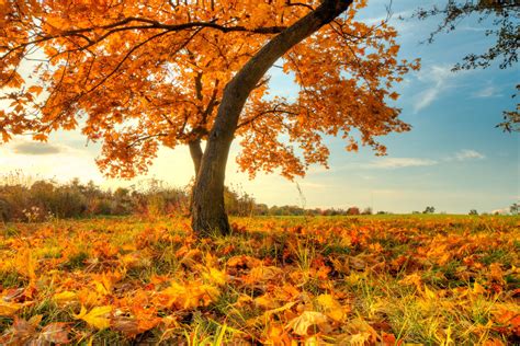 Autumn Attractions Top Destinations For Fall