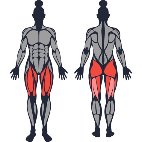 How To Do Leg Press Muscles Worked And Proper Form Strengthlog
