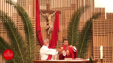 Holy Mass Palm Sunday Of The Lords Passion April 10 2022 1015 Am