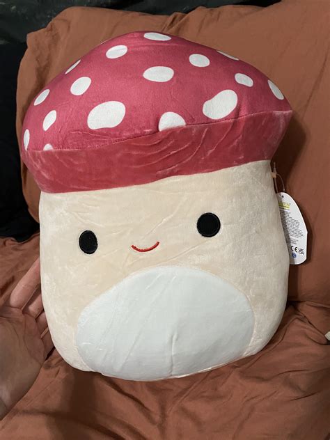 Just grabbed the last Malcom at my nearest Hallmark! (‘: : r/squishmallow