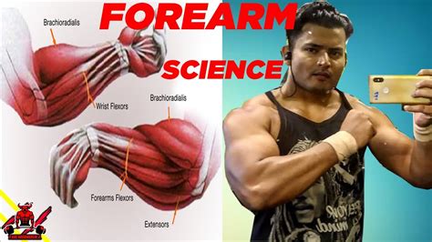 How To Make Your Forearms Bigger