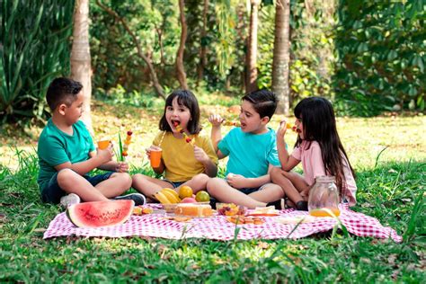 Picnic Food Ideas For Kids Easy Recipes Twl